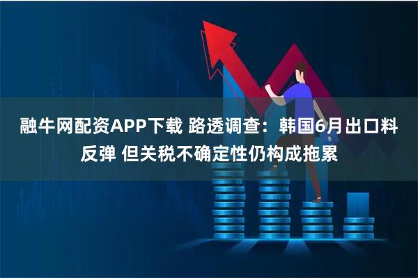 融牛网配资APP下载 路透调查：韩国6月出口料反弹 但关税不确定性仍构成拖累