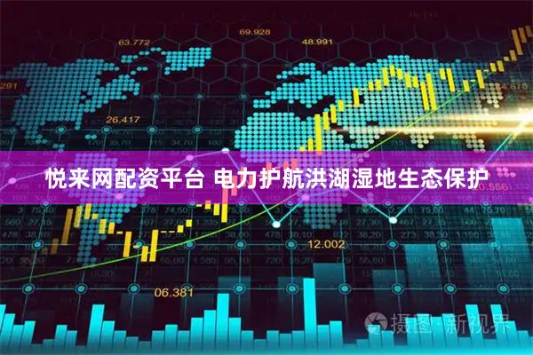 悦来网配资平台 电力护航洪湖湿地生态保护